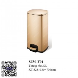 Thùng rác phòng SJ30-F01