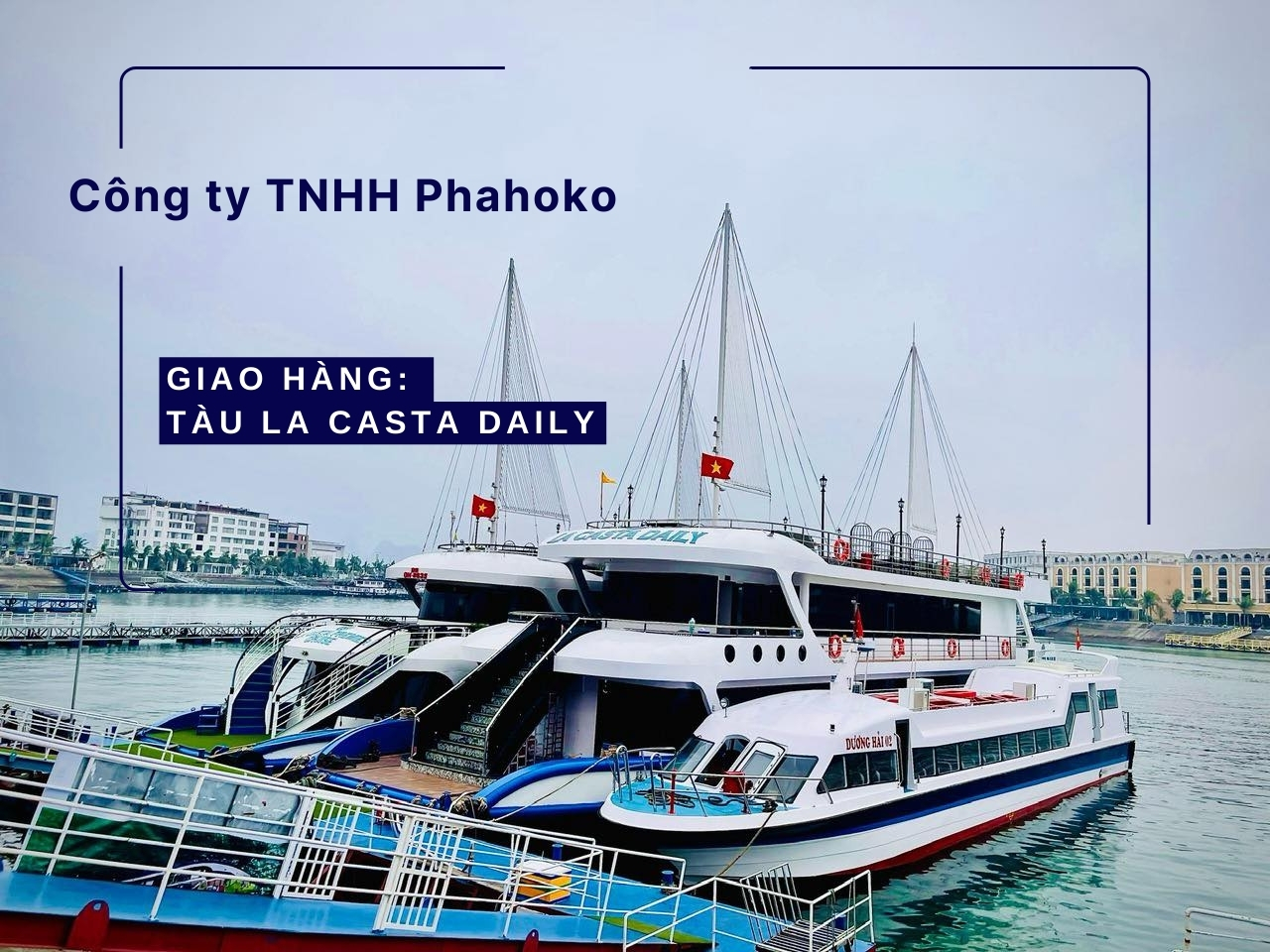 Phahoko Giao Hàng Tàu La Casta Daily