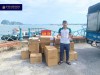 Phahoko - Đối Tác Cung Ứng Tin Cậy Cho Du Thuyền Cycad Cruise
