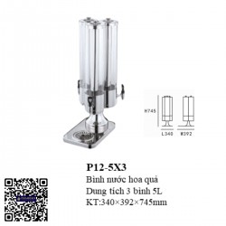 Bình nước hoa quả P12-5X3