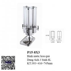 Bình nước hoa quả P15-8X3
