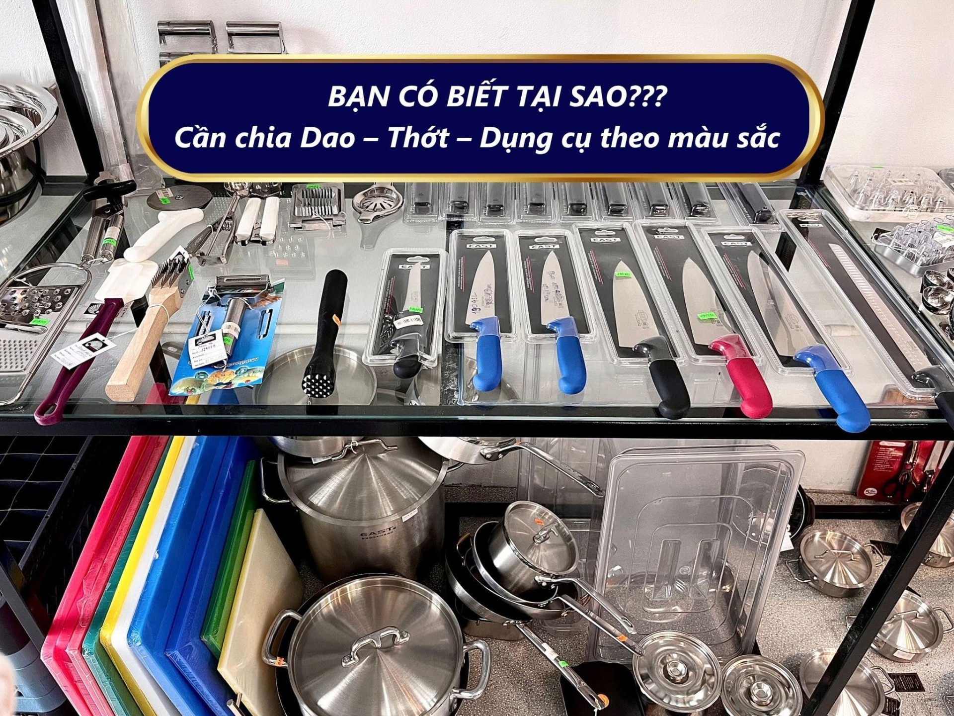 DỤNG CỤ SƠ CHẾ BẾP PHÂN LOẠI MÀU SẮC: GIẢI PHÁP AN TOÀN TỪ PHAHOKO