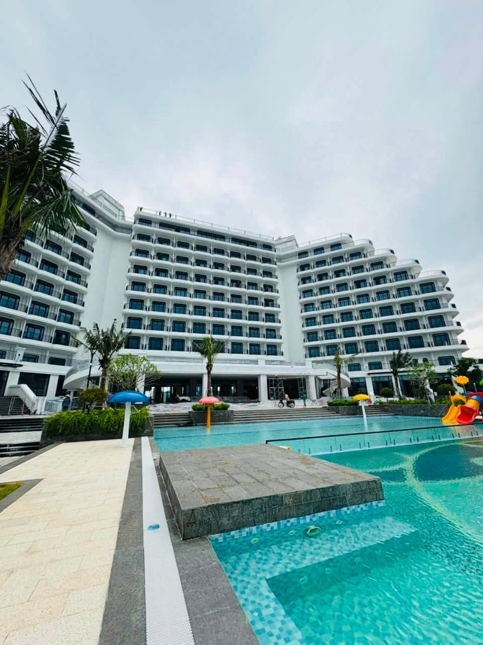 Longbeach Trà cổ